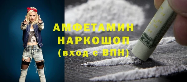 прущие грибы Иннополис