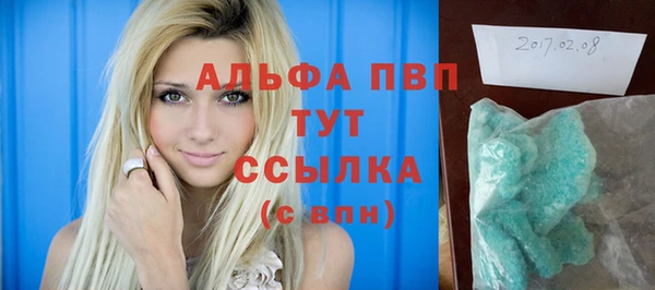 прущие грибы Иннополис