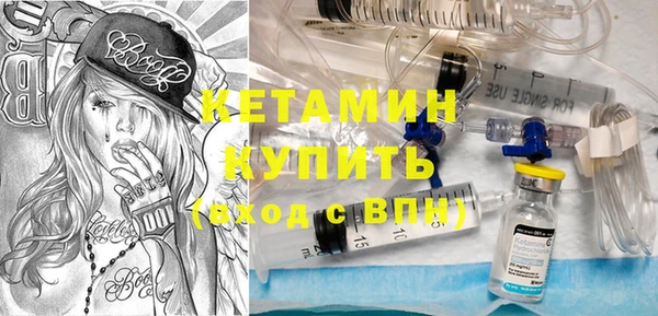 прущие грибы Иннополис