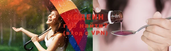 прущие грибы Иннополис