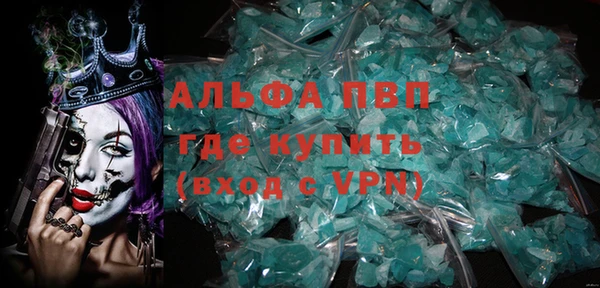 прущие грибы Иннополис