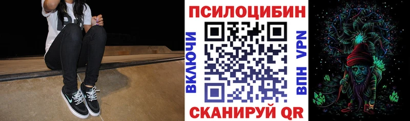 Псилоцибиновые грибы Psilocybe  Купить  Ядрин 